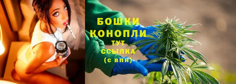 Каннабис SATIVA & INDICA  Бирюч 